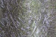 Adeney fibreglass roof work